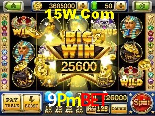 Experiência VIP 9Pmbet